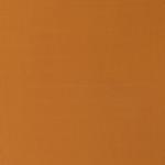 Raw Sienna